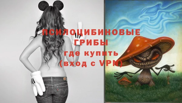 2c-b Вяземский