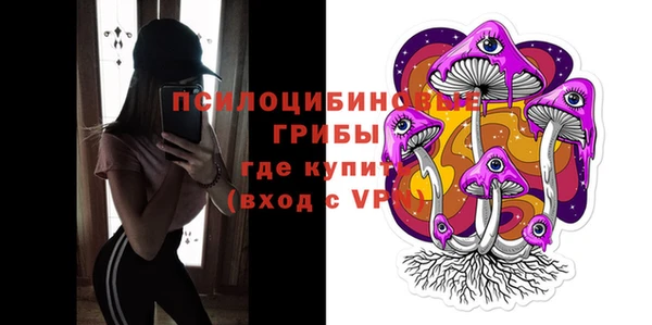 2c-b Вяземский