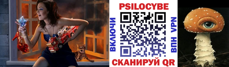 Галлюциногенные грибы Cubensis  как найти   Домодедово 