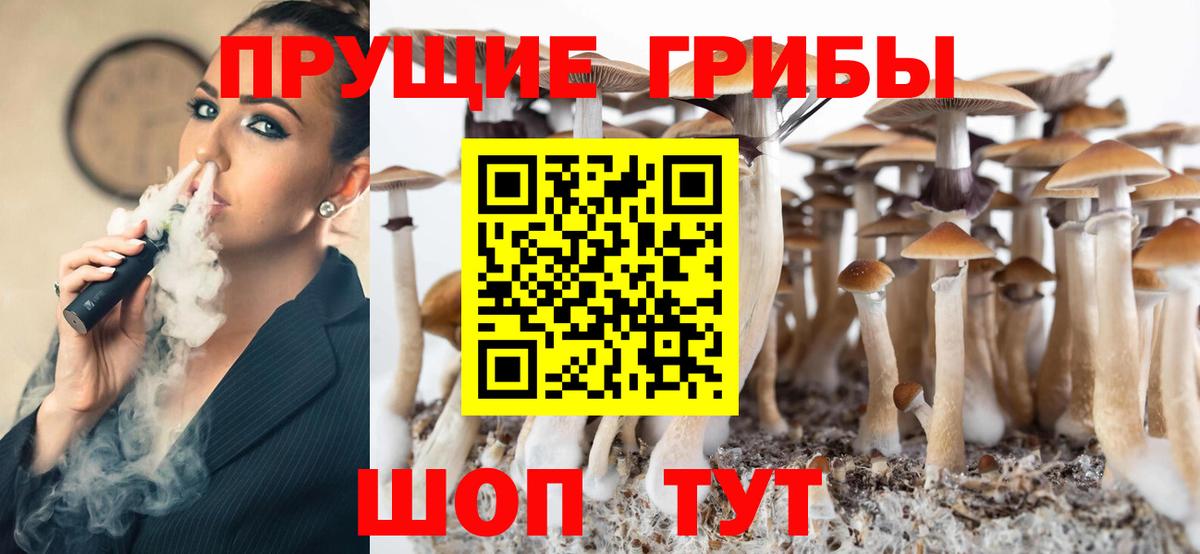 Псилоцибиновые грибы Psilocybe  Вход с VPN  Домодедово 