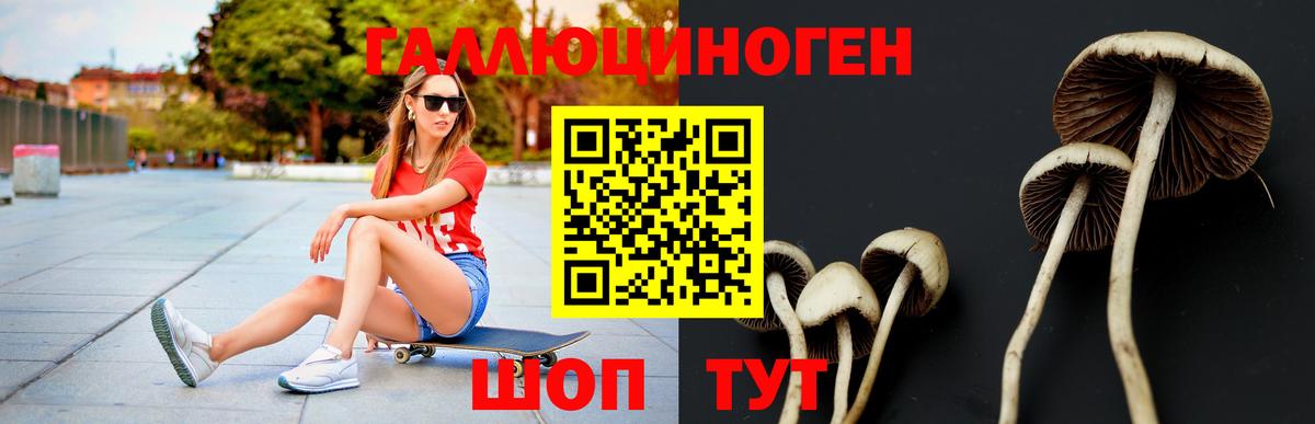 Псилоцибиновые грибы ЛСД Домодедово